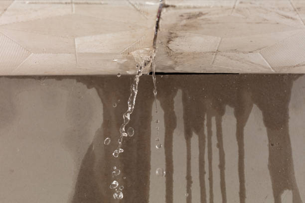 Professional Structural Drying technician working in Orfordville, WI